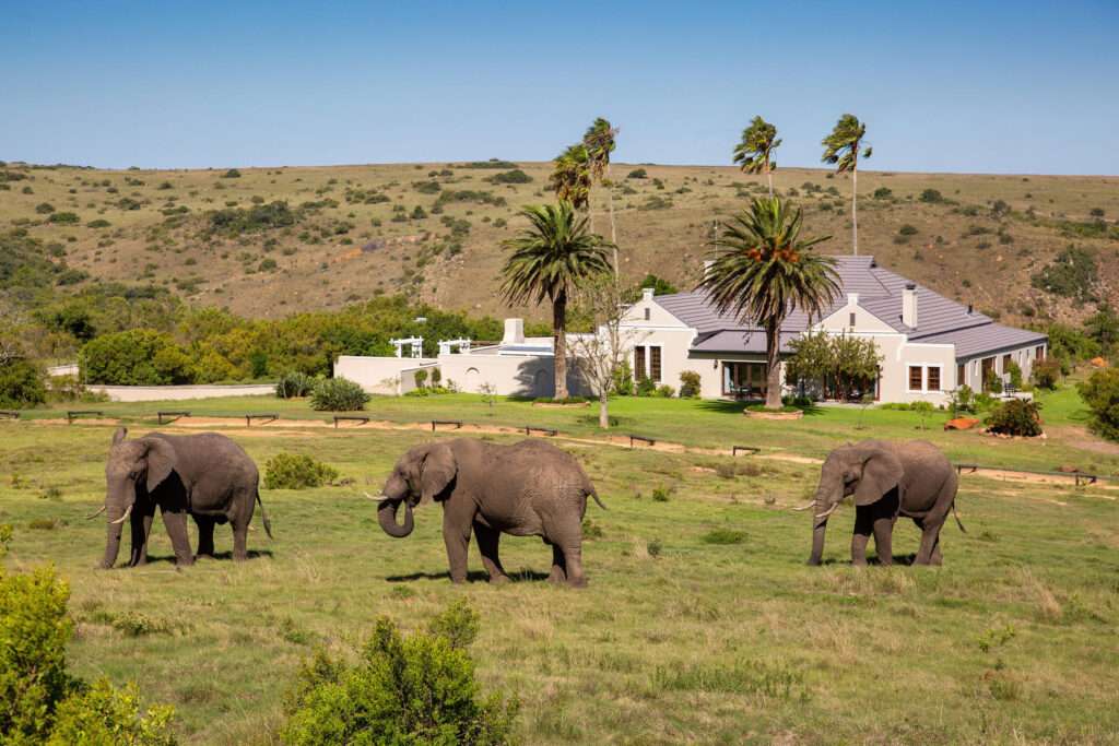 Lalibela - Mills Manor