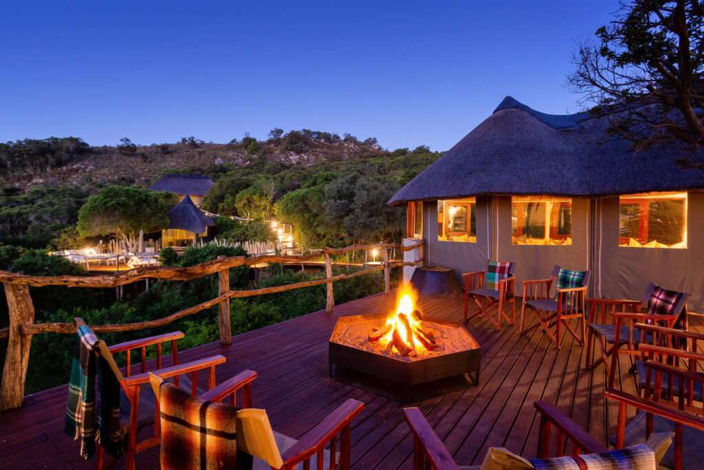 Tree Tops Safari Lodge - Lalibela Wildife Reserve