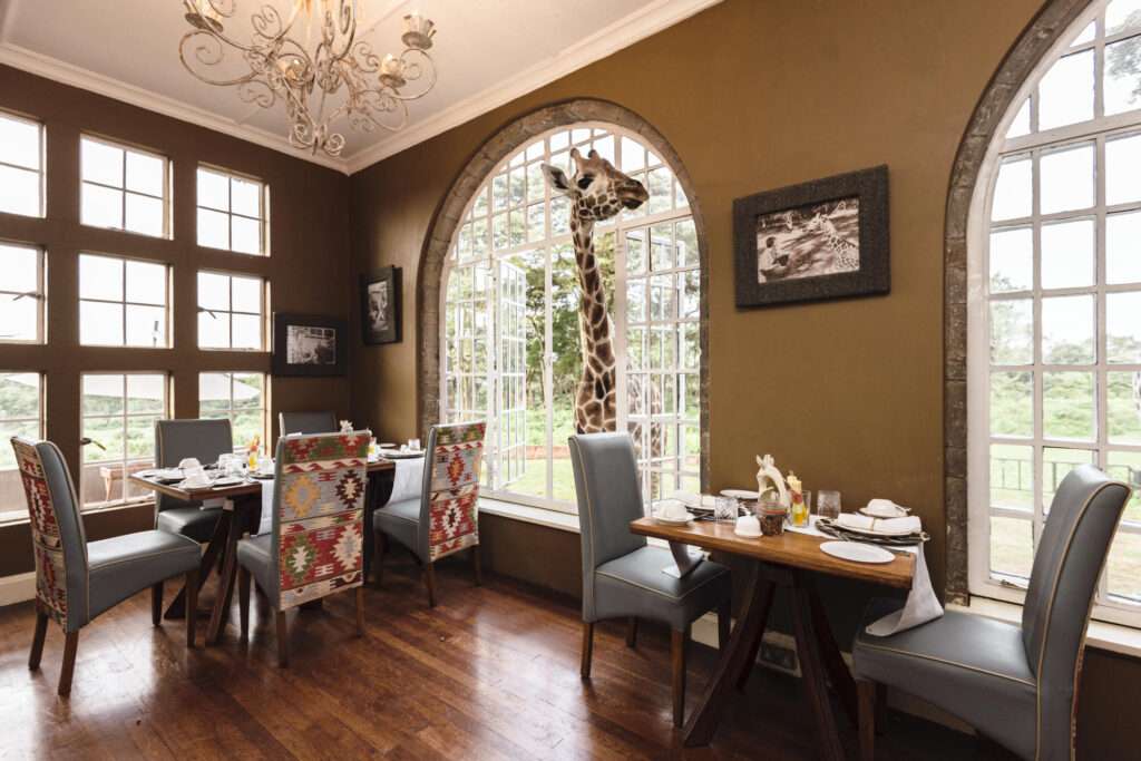 Giraffe Manor - Nairobi, Kenya